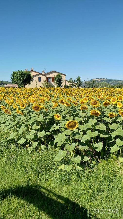 Agriturismo Vallelunga Ancona Eksteriør bilde